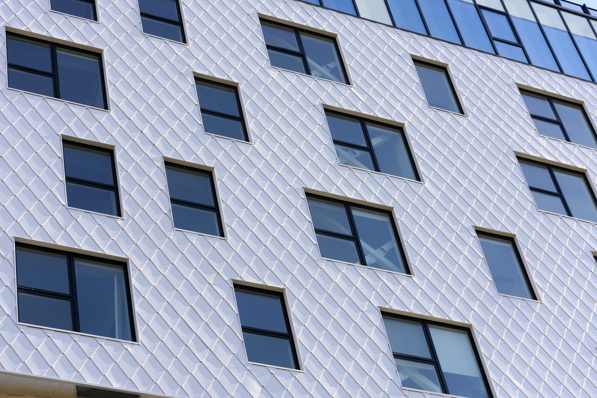 DLittle Photo Aug 24 2025 0002